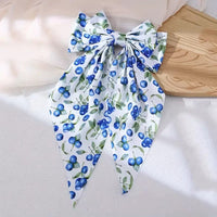 HSC261 | Blueberry Hair Clip 1pcs 1$