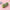 PECS10C | Pencil case - green 2.75$