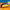 PECS60 | Pencil case - yellow