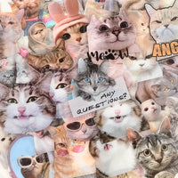 ST5010 | Cat sticker pack (50sheets)