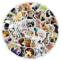 ST5077 | Cat sticker pack (50sheets)