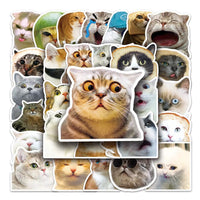 ST5007 | Cat Sticker pack (50sheets)