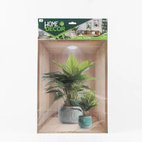 PTCA41 | Plant 3D Poster 1pcs