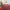 TBCL29 | Table cloth size 1.5x1m - red Christmas