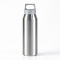 BOT652 | 700ml Stainless Bottle - Silver