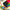 CPB51 | Truecolor -48 color pencil