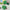 KC250 | Christmas Tree Keychain 1$