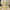 GFT133 | Birthday Party Balloon set - yellow