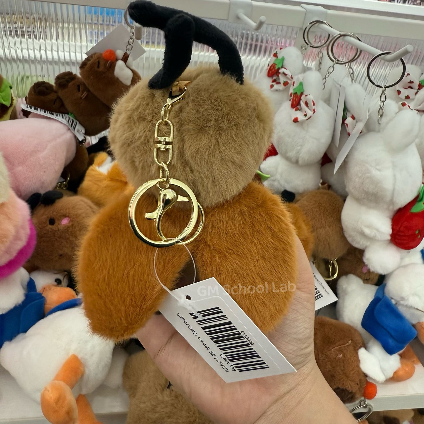 KC157 | 2$ Brown Cockroach keychain