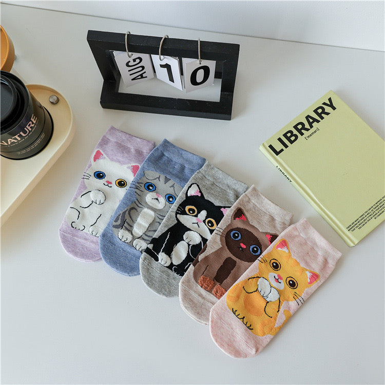 SO31 | Cat Sock 1pair Random color