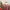TBCL18 | Table cloth size 1.5x1m - red Christmas