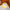 KC90D | Yellow Cat Keychain 0.75$