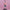 FIG14 | Bocchi The Rock Goto Hitori Figure Bocchi Anime Guitar Ornament
