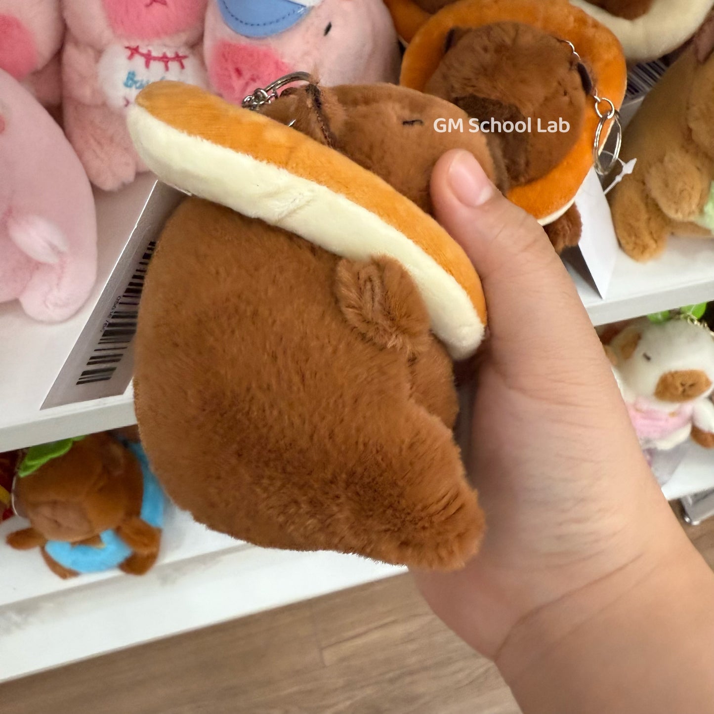 KC81 |  capybara bread Keychain