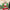 GFT76A | 23x30.7x10cm Christmas Gift Bag