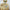 TBCL22 | Table cloth size 1.5x1m - yellow cake
