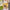 GFT55 | HBD Yellow White Paper Bag / Gift Bag