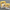 GFT55 | HBD Yellow White Paper Bag / Gift Bag