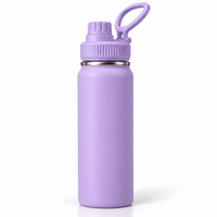 BOT530 | 800ml Stainless Bottle - Purple Pastel
