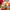 GFT76A | 23x30.7x10cm Christmas Gift Bag