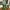 BOT330 | Bottle carry Bag - green
