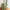 BOT331 | Bottle carry Bag - green