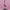FIG14 | Bocchi The Rock Goto Hitori Figure Bocchi Anime Guitar Ornament
