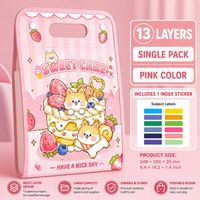 FOL39 | A4 Folder with hangbag - pink