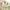 TBCL27 | Table cloth size 1.5x1m - green
