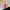 KC142 | Pink Loopy Keychain 1= 0.75$