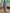 BOT416 | 750ml Stainless Bottle - purple