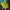 KC48 | Leaf Keychain 1=1.5$