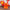 FIG98 | God House