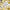 GFT129 | Gold Star Party Confetti