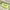 PECS40 | Green Pencil case 2.25$