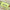 PECS40 | Green Pencil case 2.25$