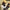 GOV18 | Long Glove+Mask