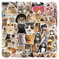 ST5027 | Cat sticker pack (50sheets)