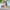 FIG69 | Fisherman Mini Figure 1pcs