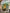 STPK103 | Decoration Sticker Pack - Fishing Lodge