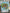 STPK103 | Decoration Sticker Pack - Fishing Lodge