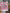 STPK105 | Decoration Sticker Pack - Pink Car RV