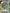 STPK115 | Decoration Sticker Pack - Apocalypse Camp
