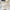 GLS30 | Eye Glasses Box - beige
