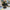 FIG43 | Anime Girl Figure
